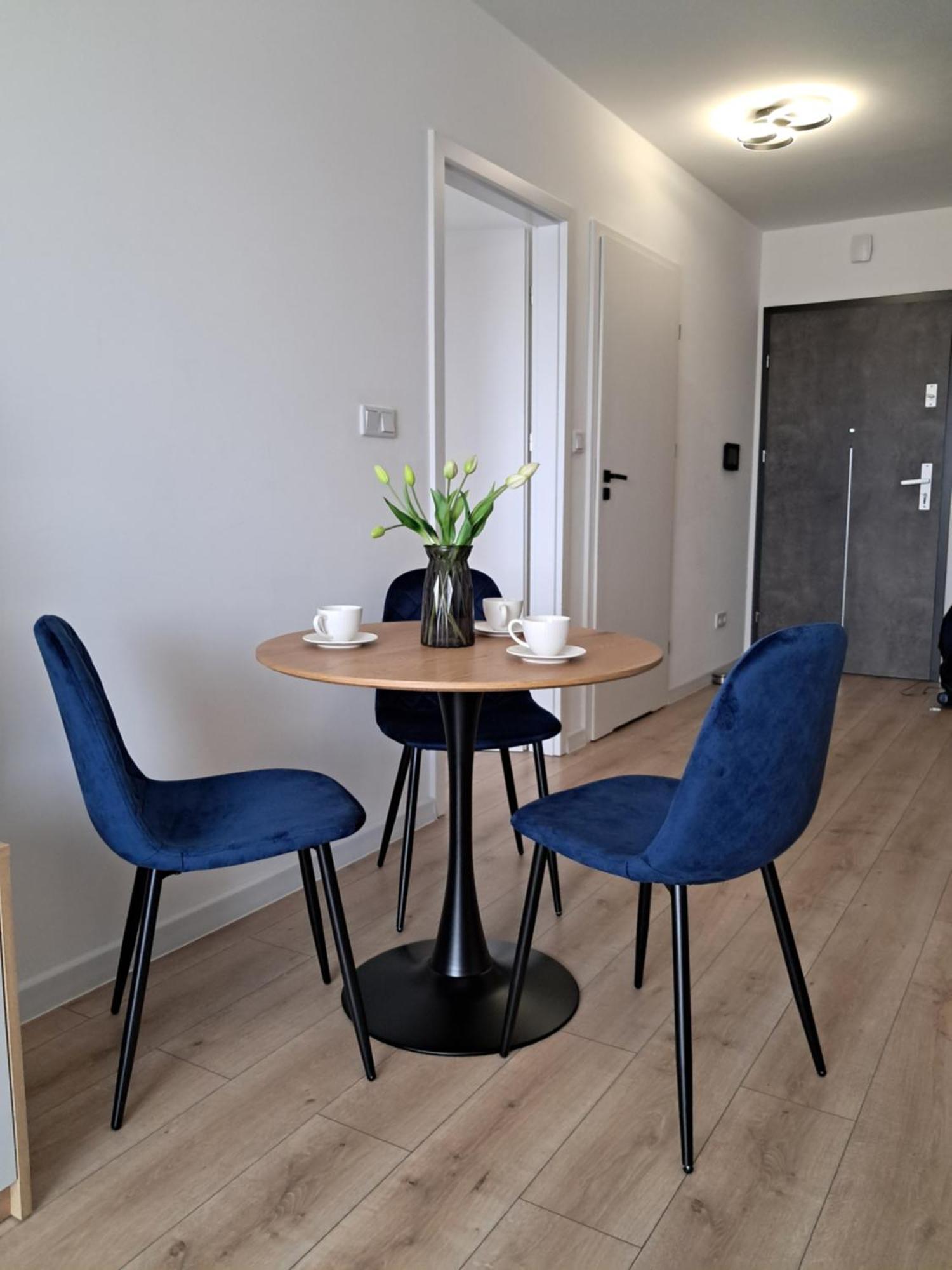 Aleje Jozefa Pilsudskiego Apartment *
